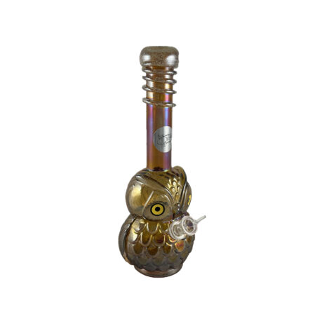 OWL - Image 5