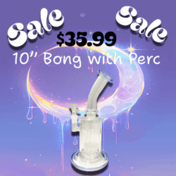 Perculator Bong Sale
